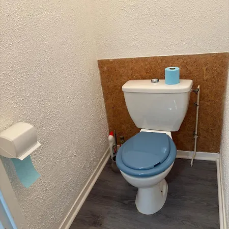 Hirondelles 5 Avec Terrasse Appartement